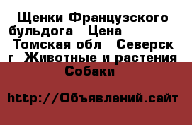 Щенки Французского бульдога › Цена ­ 50 000 - Томская обл., Северск г. Животные и растения » Собаки   